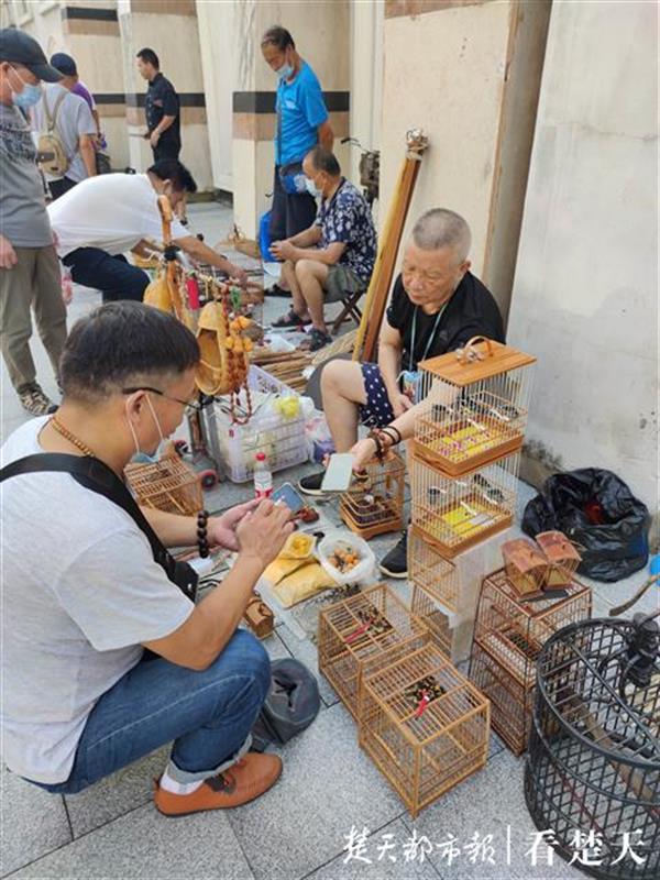 |千鸣百啭莺歌燕舞，武汉关玩赏鸟市场周末热闹非凡