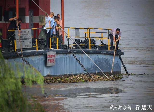 |铁钩、钉耙和长竹杆齐上阵，清除取水船附近垃圾