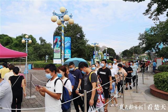 |极地海洋公园免费首日，游客络绎不绝