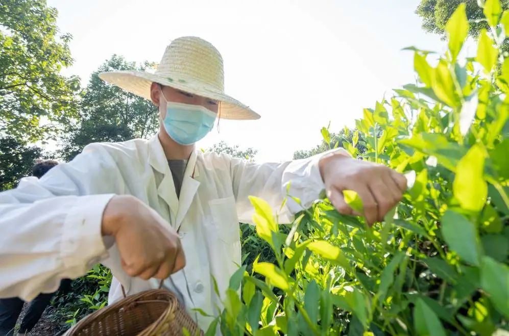 |终于，他们回来了！还上了热搜