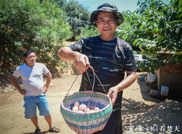 |正午“抢”鸡蛋，进山采板栗，“私厨教练”背后的汗水结成白霜