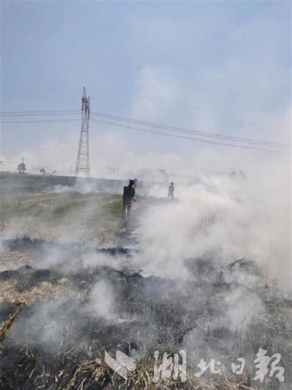 |大火袭来浓烟滚滚 25名电力人奋勇灭火保供电线路安全