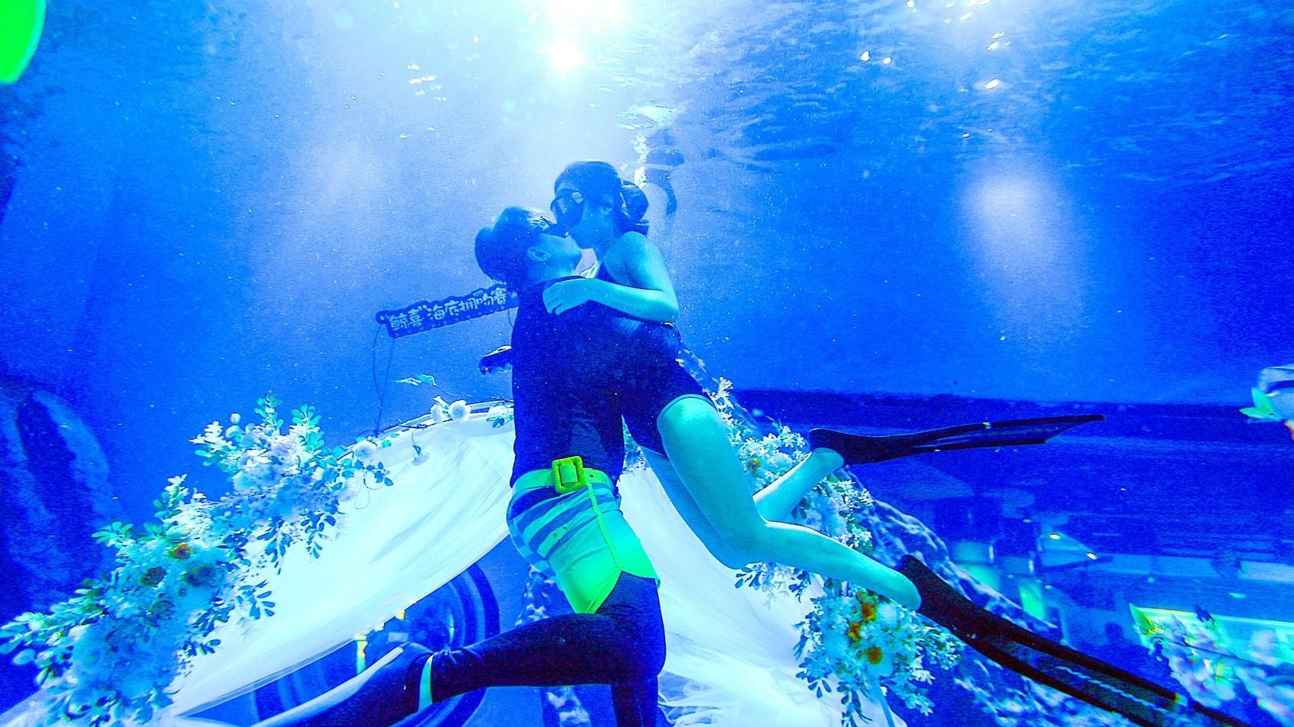 “海底”潜吻 爱燃七夕 武汉1925对新人昨领证