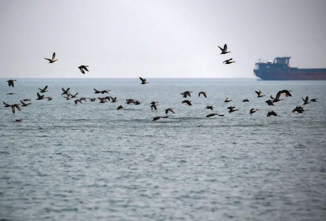 |昔日打鱼人变身护渔人，全身心守护母亲河精灵