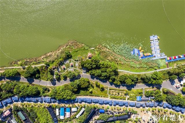 后官湖，一颗镶嵌在武汉西部的湿地明珠