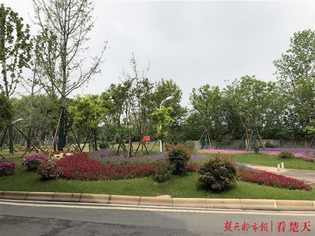 |2金2银！武汉园建斩获4项园林绿化优质工程奖