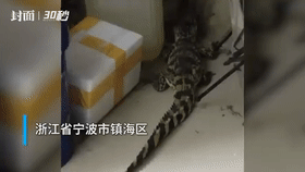 |神评论|学霸都是不刻意的