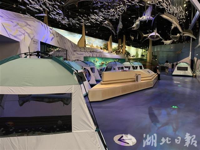 |夜宿博物馆，“恐龙”来查房