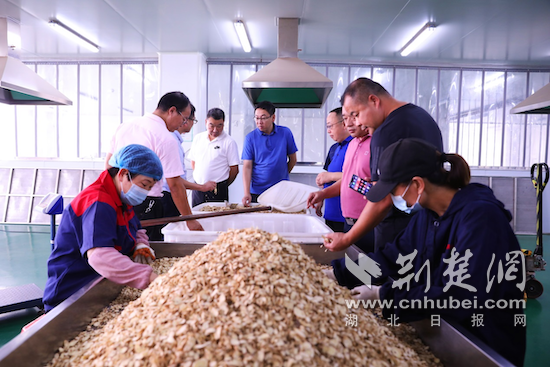 |高质量发展中医药产业 湖北巴东远赴安徽亳州考察取经