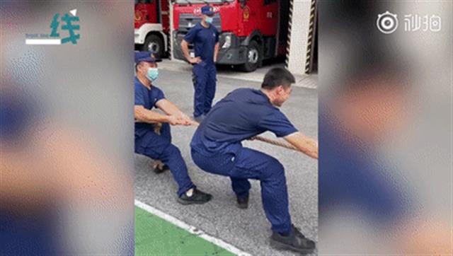 |神评论|一头在热搜上下不来的“猪”