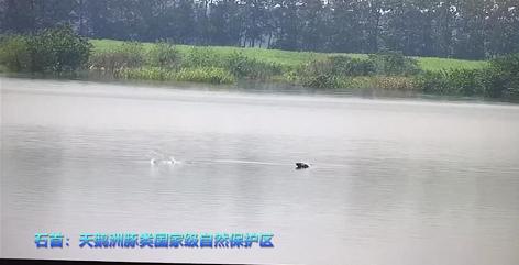 |昔日打鱼人变身护渔人，全身心守护母亲河精灵