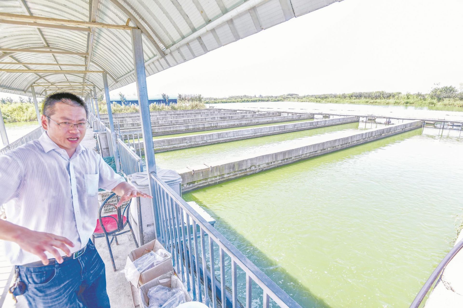 |夜里制料巡塘 白天充氧运输 养殖户忙保供 鱼儿带着“鲜气”游上市民餐桌