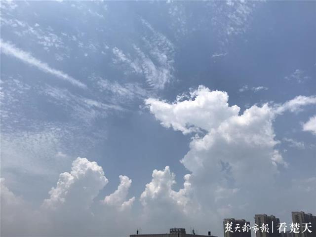 |高温预警拉响！未来5天35℃+，神农架恩施西部除外