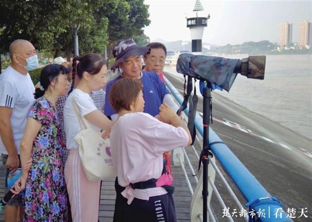 |在宜昌怎样和“微笑精灵”江豚约会？这份攻略你一定要看看……