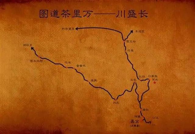 |昭君故里送茶到内蒙