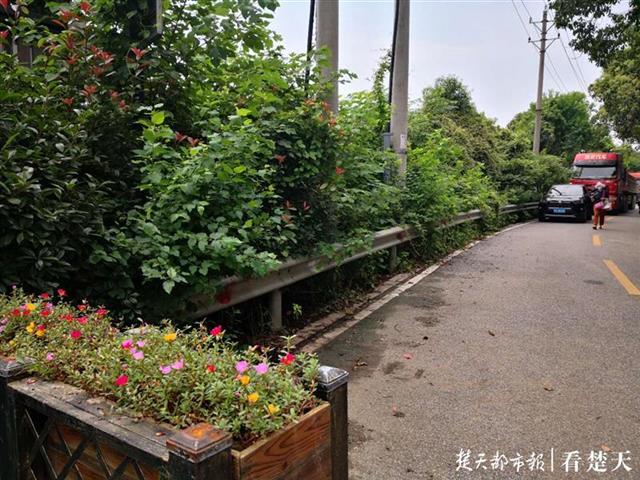 |百余辆共享单车违停东湖风景区，单车企业吃2300元罚单