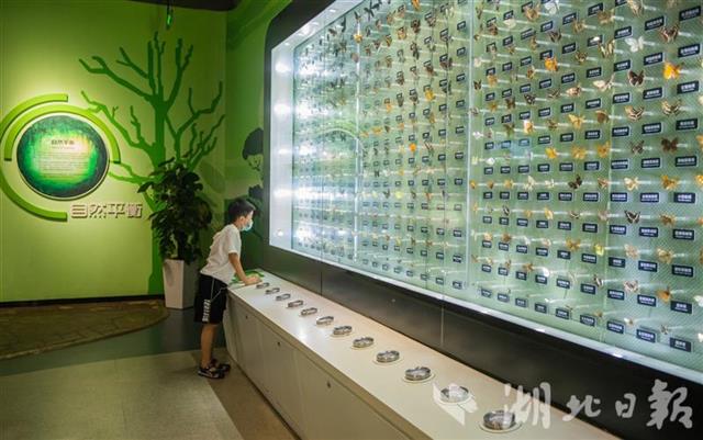 |武汉科技馆里探寻科学奥秘