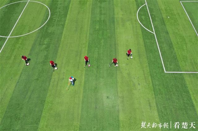 |初一初二学生复学在即，校园全面消杀