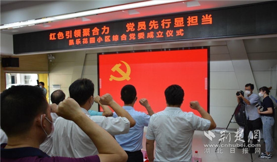 |武昌凯乐花园小区成立综合党委多方聚力共治美好家园