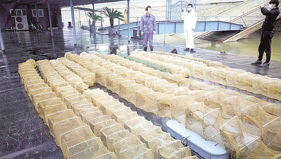 |湖北公安机关向非法捕捞“亮剑”