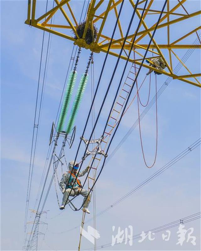 |高空中，他纵身抓住500千伏输电线