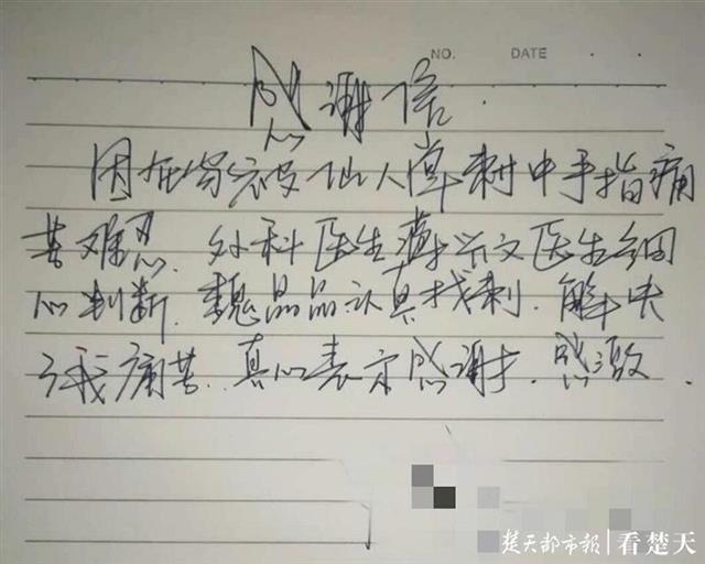 |想想就疼！仙人掌掉落小伙徒手去接，右手惨变“仙人掌”