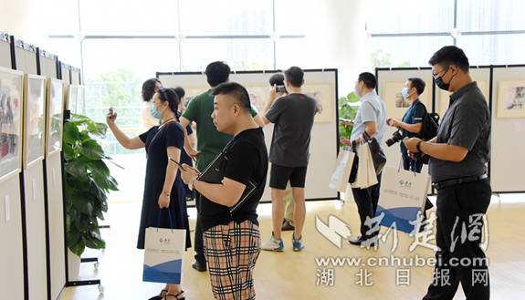 |看画展，捐热血泰康同济举办系列活动庆祝医师节