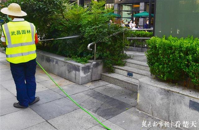 |喷洒无公害农药，武汉园林开展秋季杀灭虫卵行动