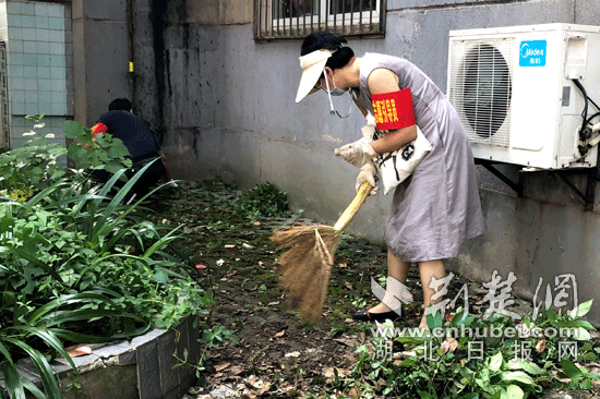 |洪山区600余名在职党员线上“抢单” 着力解决群众烦心事