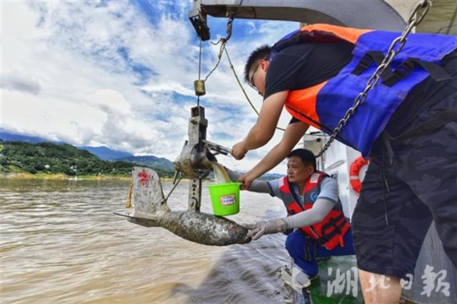 |3万多个水文站连续作业迎战长江5号洪水 信息半小时汇总一次