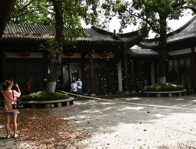 |黄鹤楼公园清理楼顶垃圾，还景区整洁（组图）