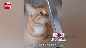 |神评论|今天就如你所愿