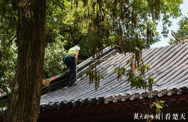 |黄鹤楼公园清理楼顶垃圾，还景区整洁（组图）