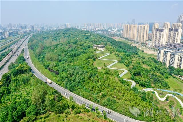|武汉75座破损山体复绿归来