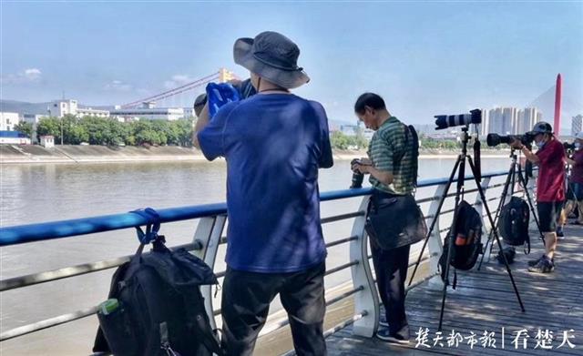 |在宜昌怎样和“微笑精灵”江豚约会？这份攻略你一定要看看……