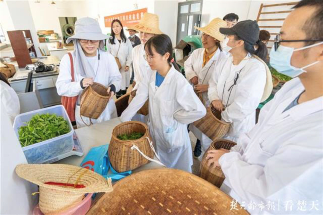 |终于，他们回来了！还上了热搜