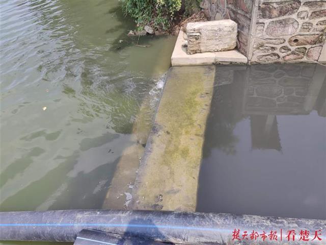|排水口内水体黑臭，相关部门称不会流入墨水湖
