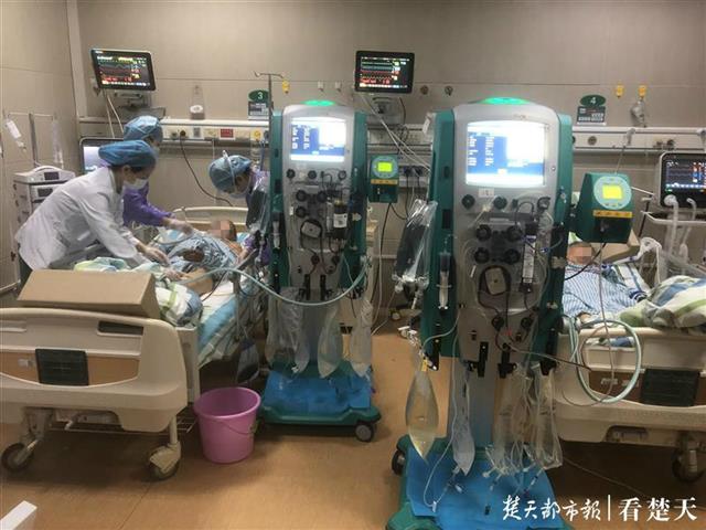 |一盘毒蘑菇放倒六旬夫妻，专家连夜抢救仍生命垂危