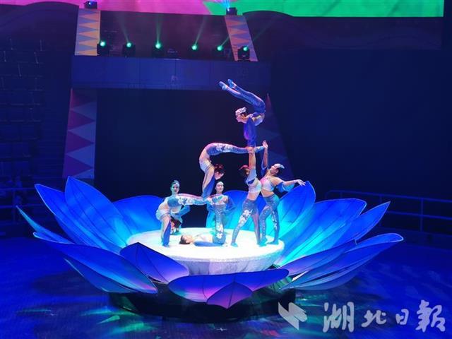 |2020大马戏嘉年华开演：老元素，新演绎，经典重现惹人醉