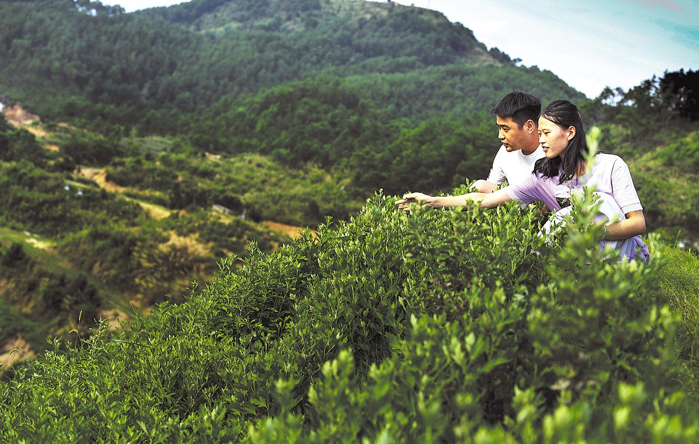 |易地扶贫搬迁：89万群众住进新家