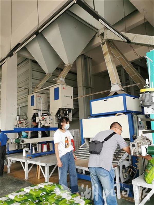 |湖北省垦区累计建成360万亩规模化基地
