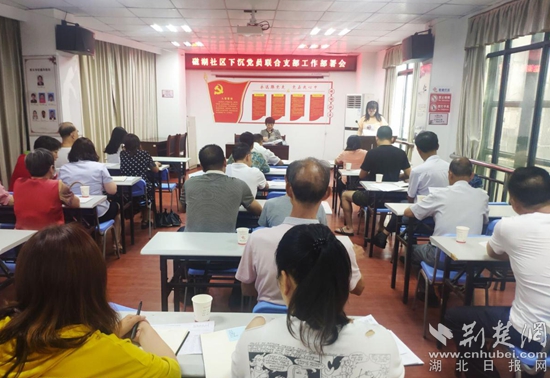 |入户摸底“全覆盖”黄石磁湖社区271名党员下沉