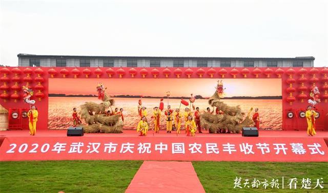 秋雨澆不滅的熱情！武漢歡慶中國農(nóng)民豐收節(jié)(圖2)