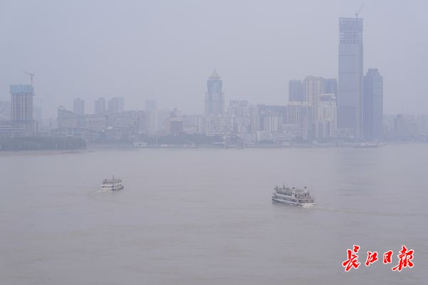 淡淡的雨雾笼罩着江城 长江大桥上的游客在桥面上一睹城市美景(图1)