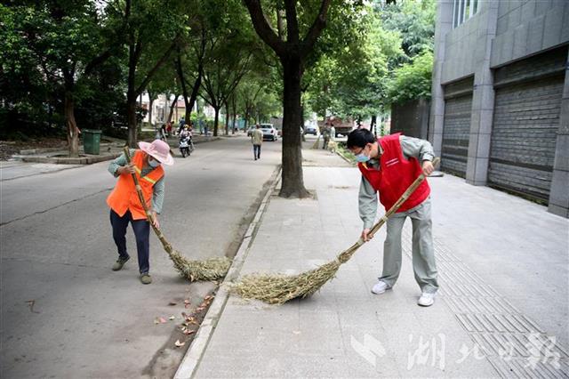 |湖北电网1.8万名党员下沉社区 发挥专业优势 排解用电难题