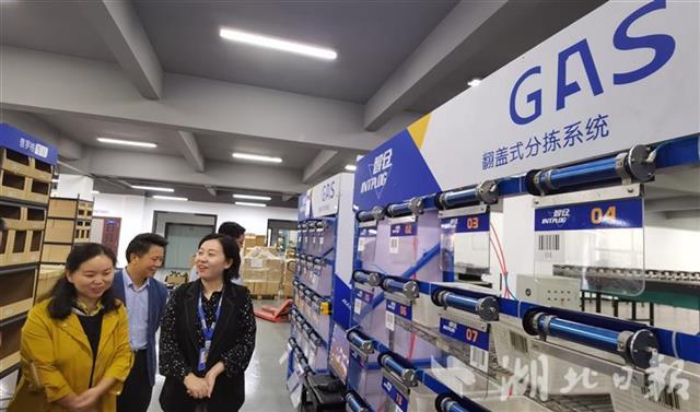 |湖北省科技厅在大冶举办对接会 推动创新要素与产业发展深度融合