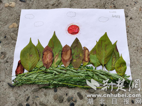 |襄阳实施素质教育 把“大自然”带到课堂上