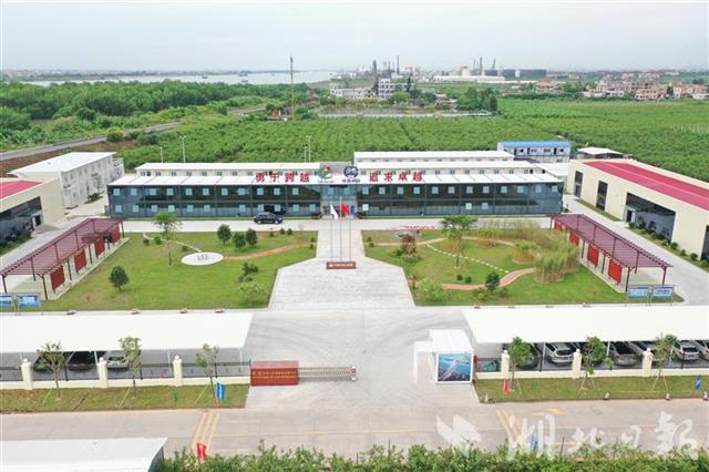 |湖北建桥军团参建广东南中高速无缝对接深中通道