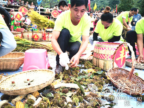 |鄂城区：为勤劳站台 替丰收喝彩