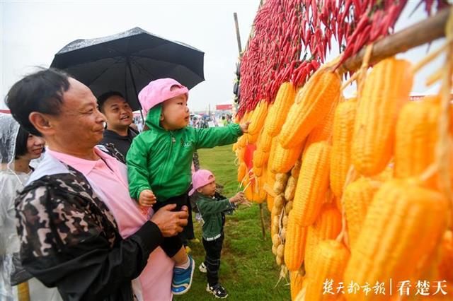 秋雨澆不滅的熱情！武漢歡慶中國農(nóng)民豐收節(jié)(圖3)